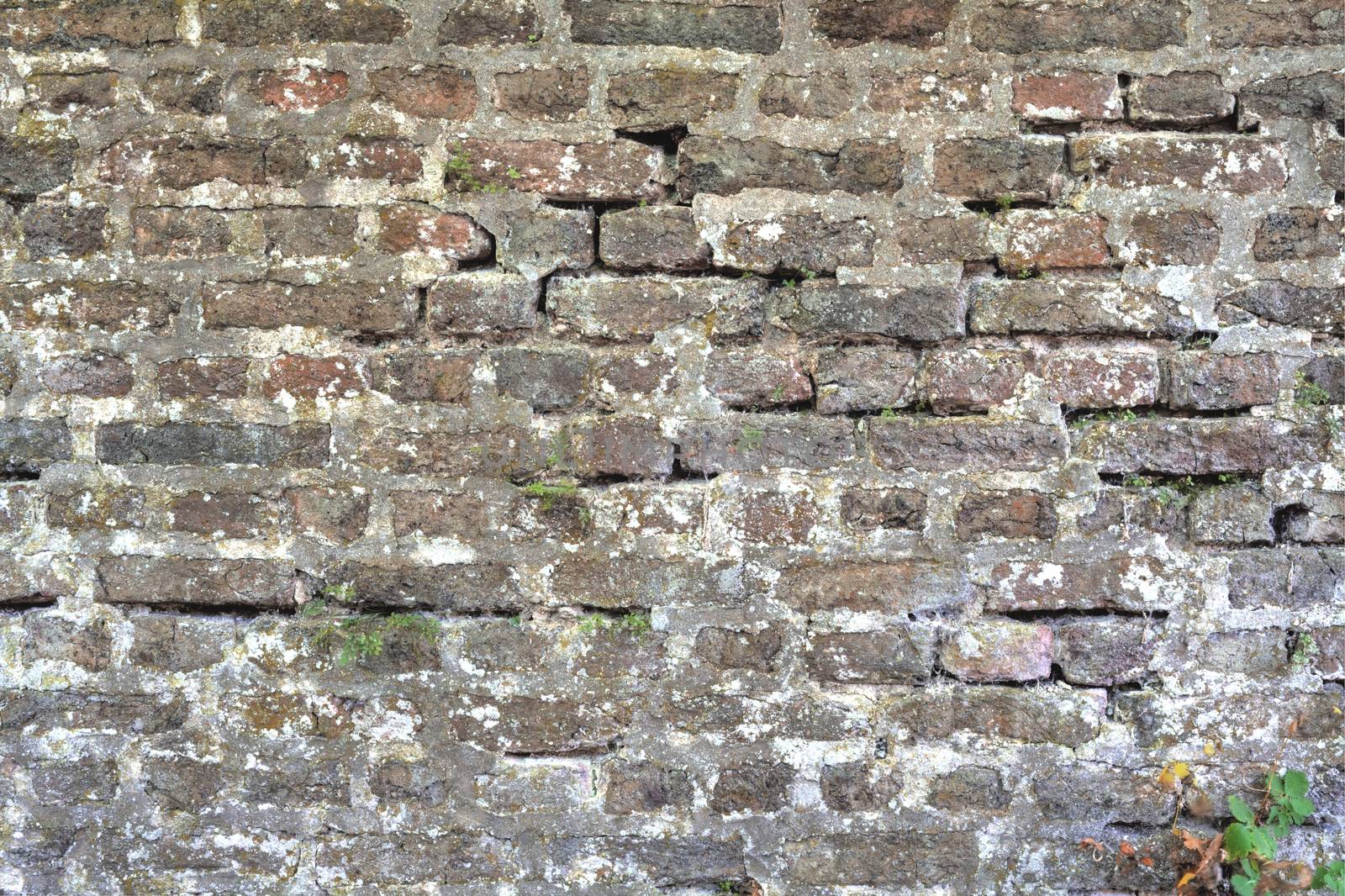 a very old brick wall, perfect for background