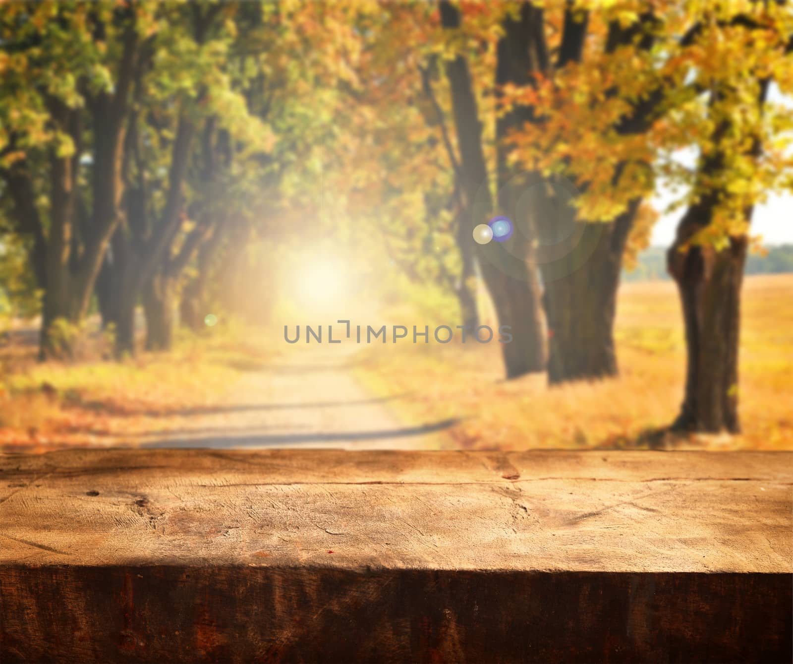 Autumn table for product dsiplays