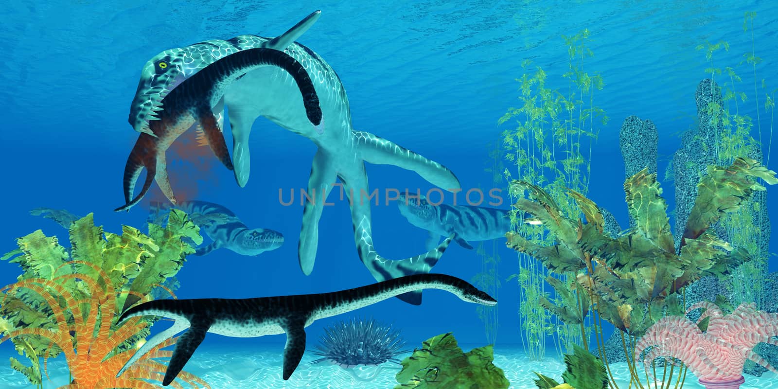 A Dakosaurus attacks a small Plesiosaurus in the clear waters of a prehistoric ocean.