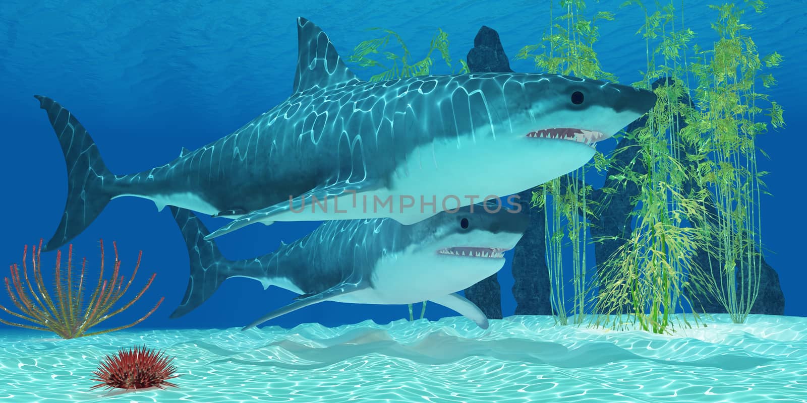 Pleistocene Megalodon Shark by Catmando
