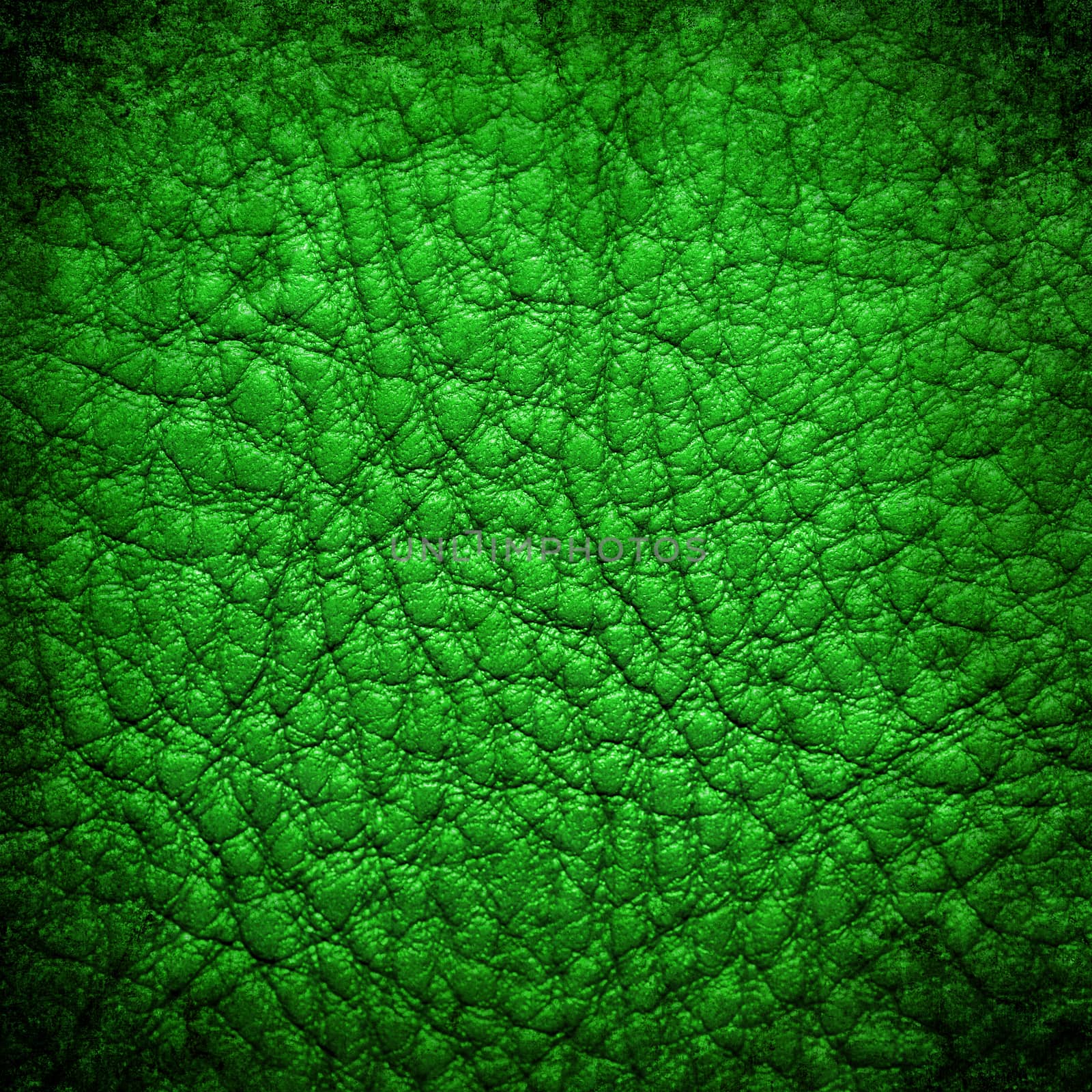 Dirty green leather texture