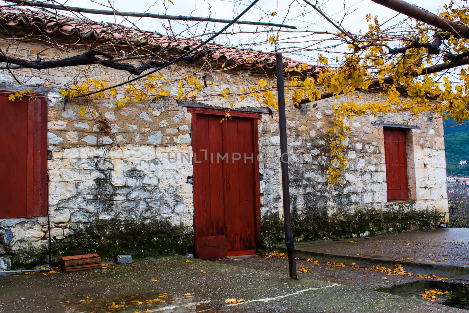 Traditional vintage house