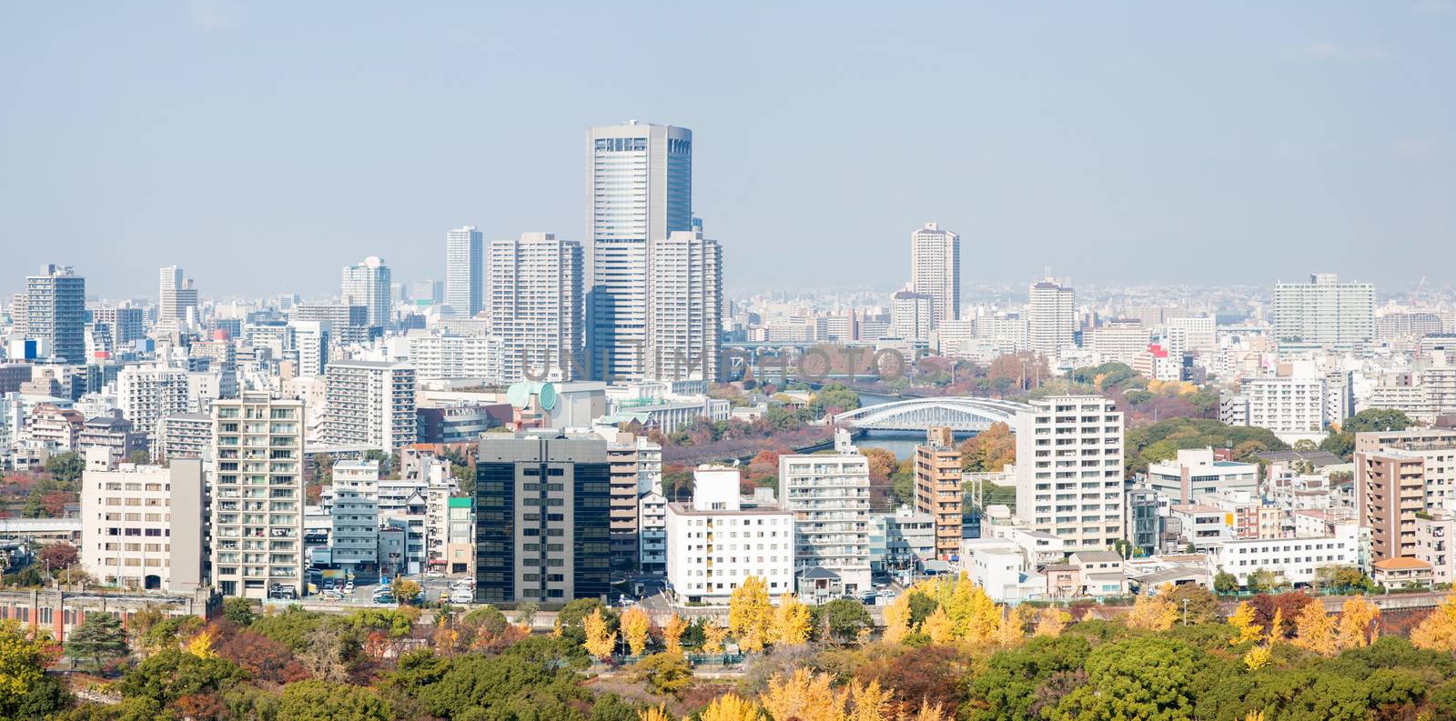 Panorama of Osaka skyline building Japan