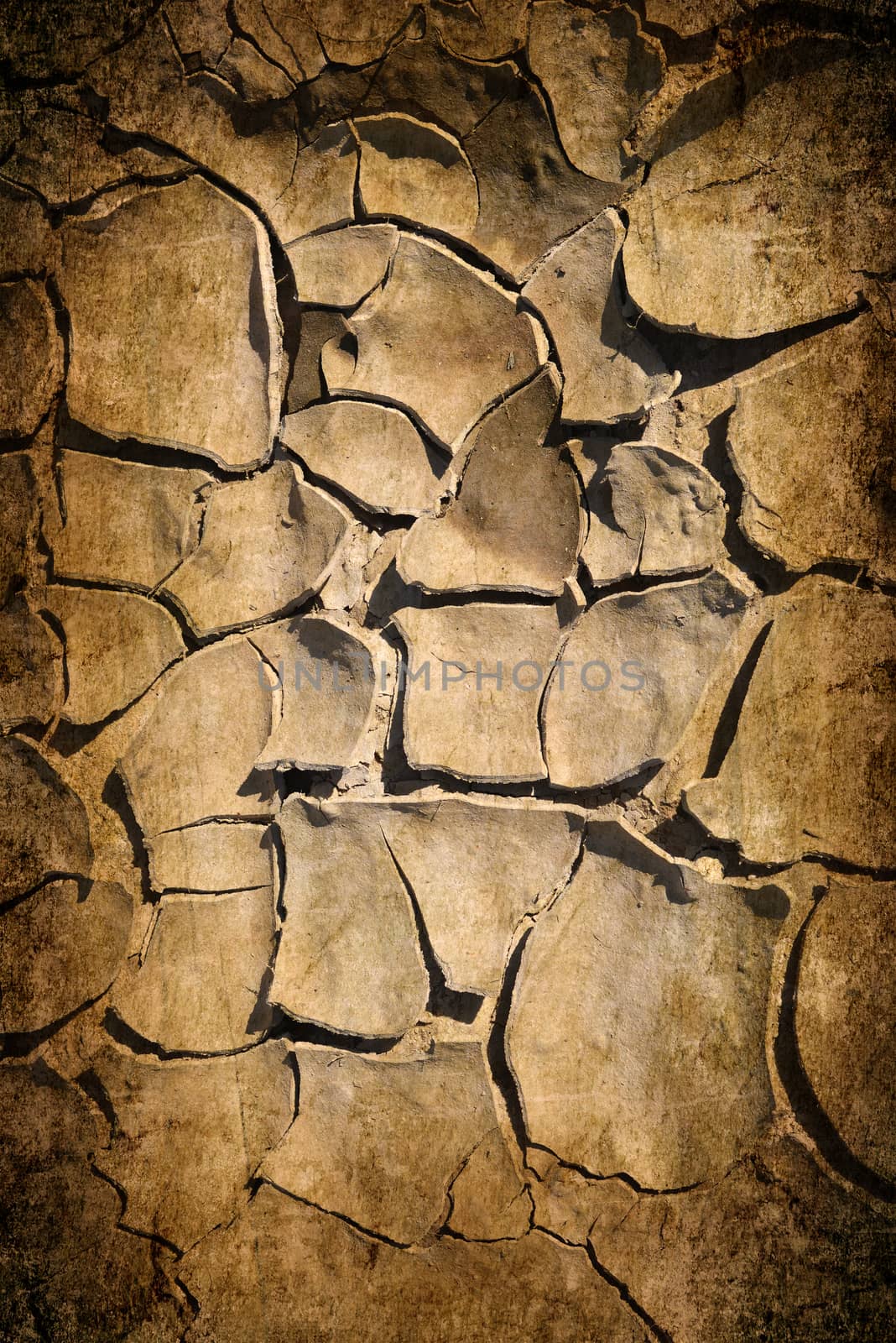 cracked earth texture or background