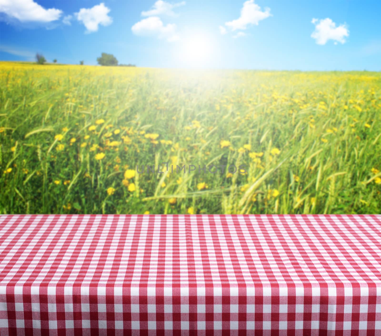 Empty table and summer field in background