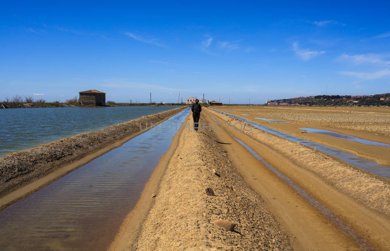 View of Salt evaporation ponds in Secovlje, Slovenia