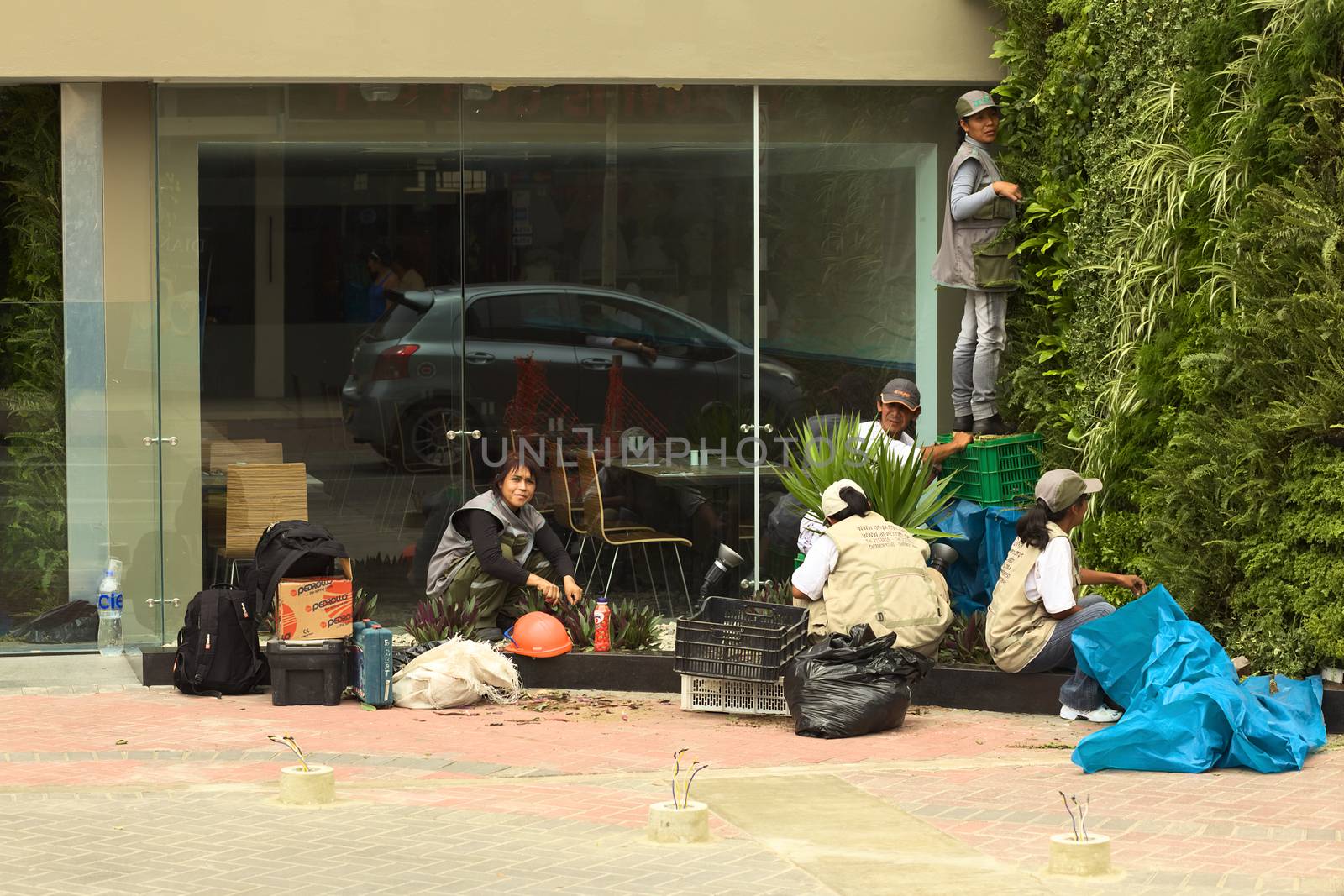 LIMA, PERU - FEBRUARY 11, 2012: Unidentified people arranging a green area in front of a building on February 11, 2012 in Miraflores, Lima, Peru. 