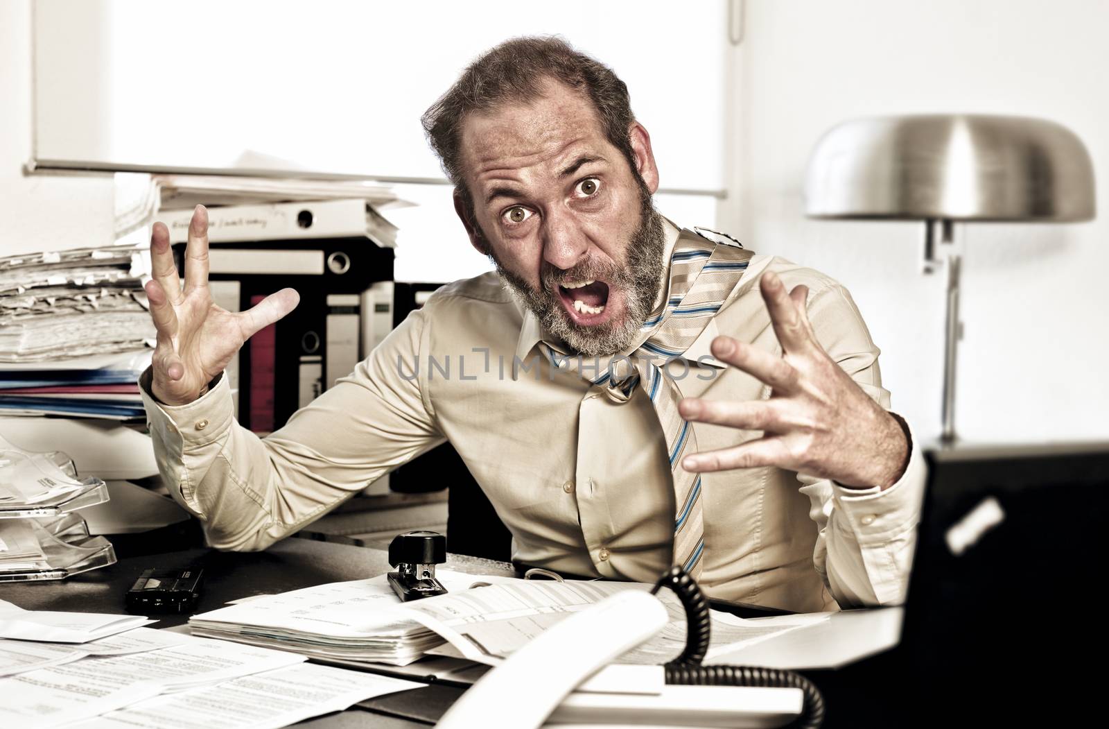Businessman goes nuts while overworked {shot on PhaseOne P45}