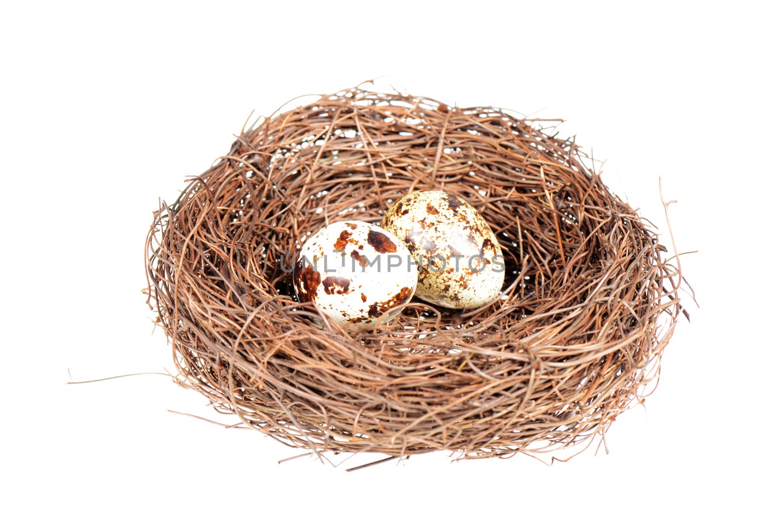 Bird's nest and quail eggs isolated on a white background
