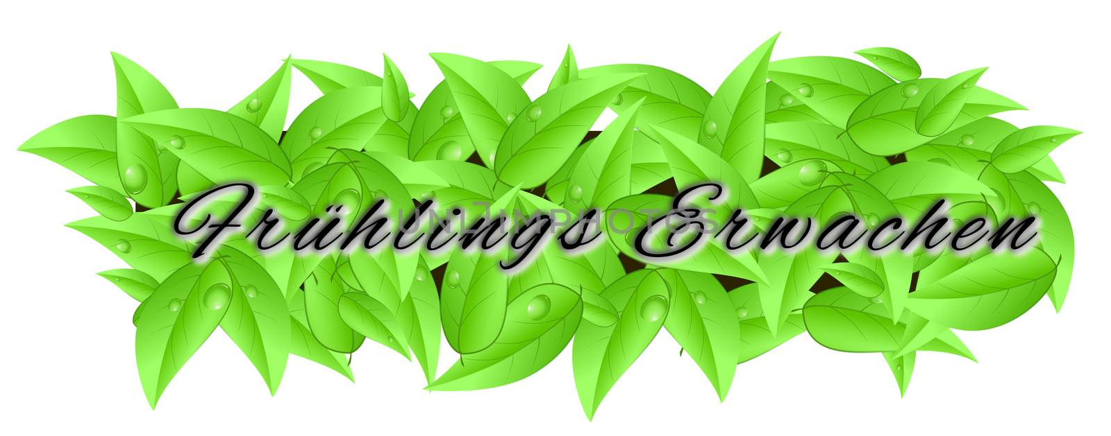 Banner made of leaves isolated on a white background with inscription "spring season"