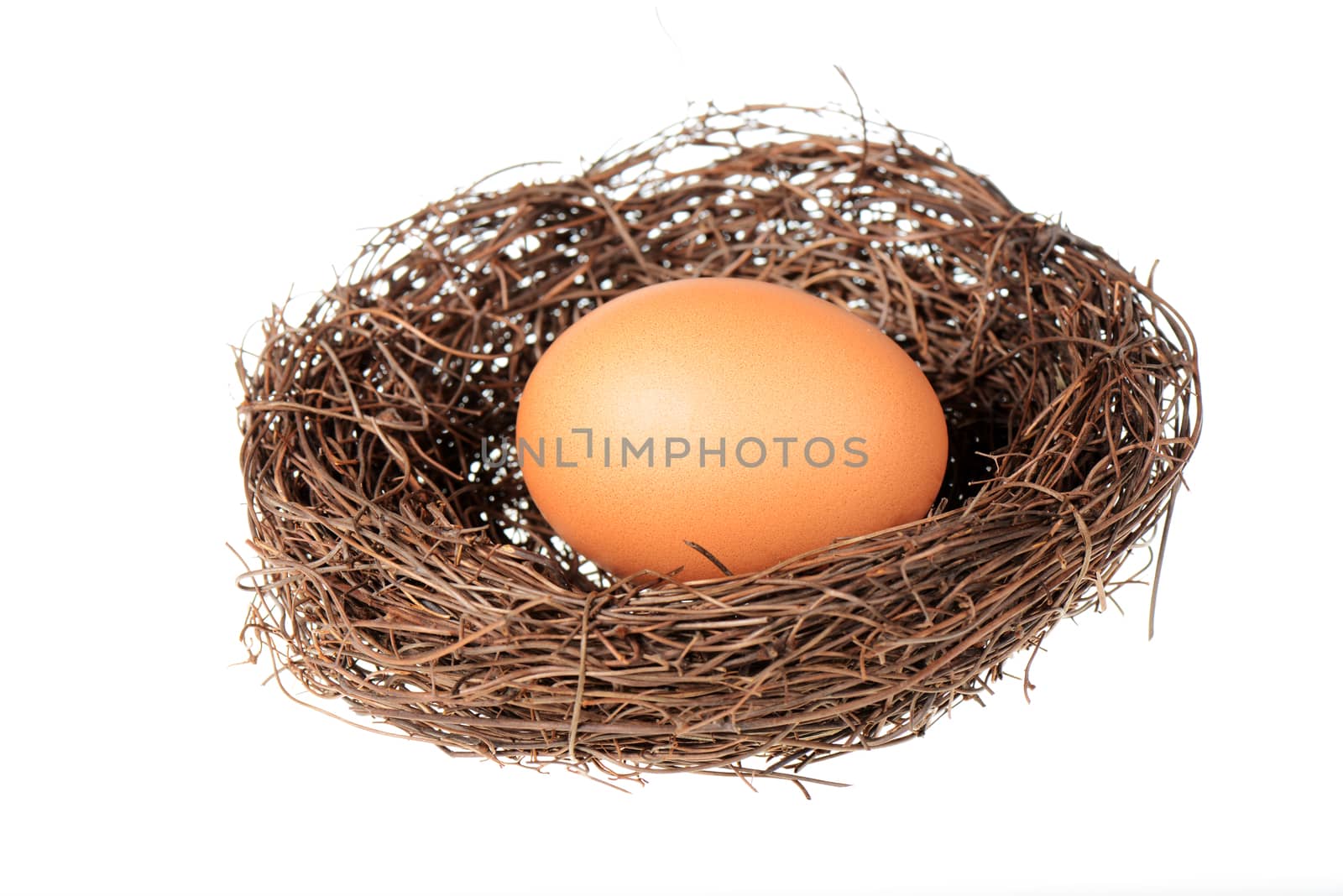 Bird's nest with an egg isolated on a white background