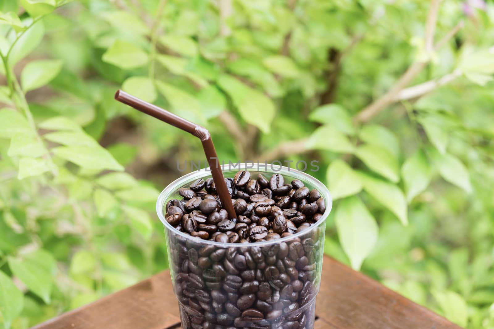 Close up coffee bean in glass against green leaf background