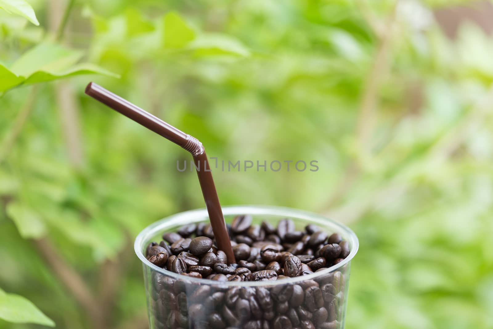 Close up of coffee  bean in glass against green leaf background