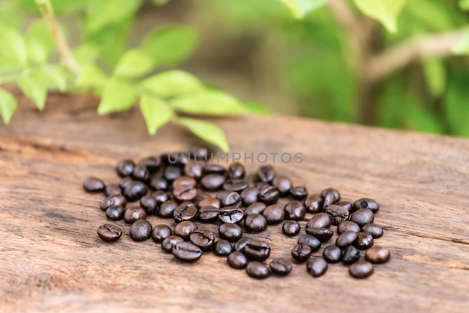 Deep of field coffee bean on wood floors against green leaf background