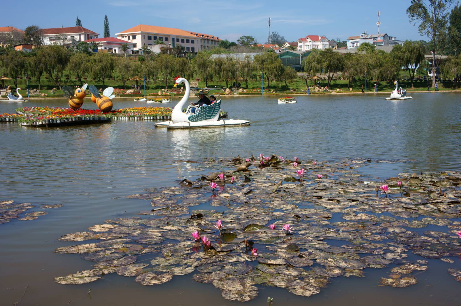 DA LAT, VIET NAM- DEC 27: Recreation of traveller by ride duck boat on lake, tranquil landscape of romantic lake with lotus flower on surface water in Da Lat, Vietnam on Dec 27, 2013