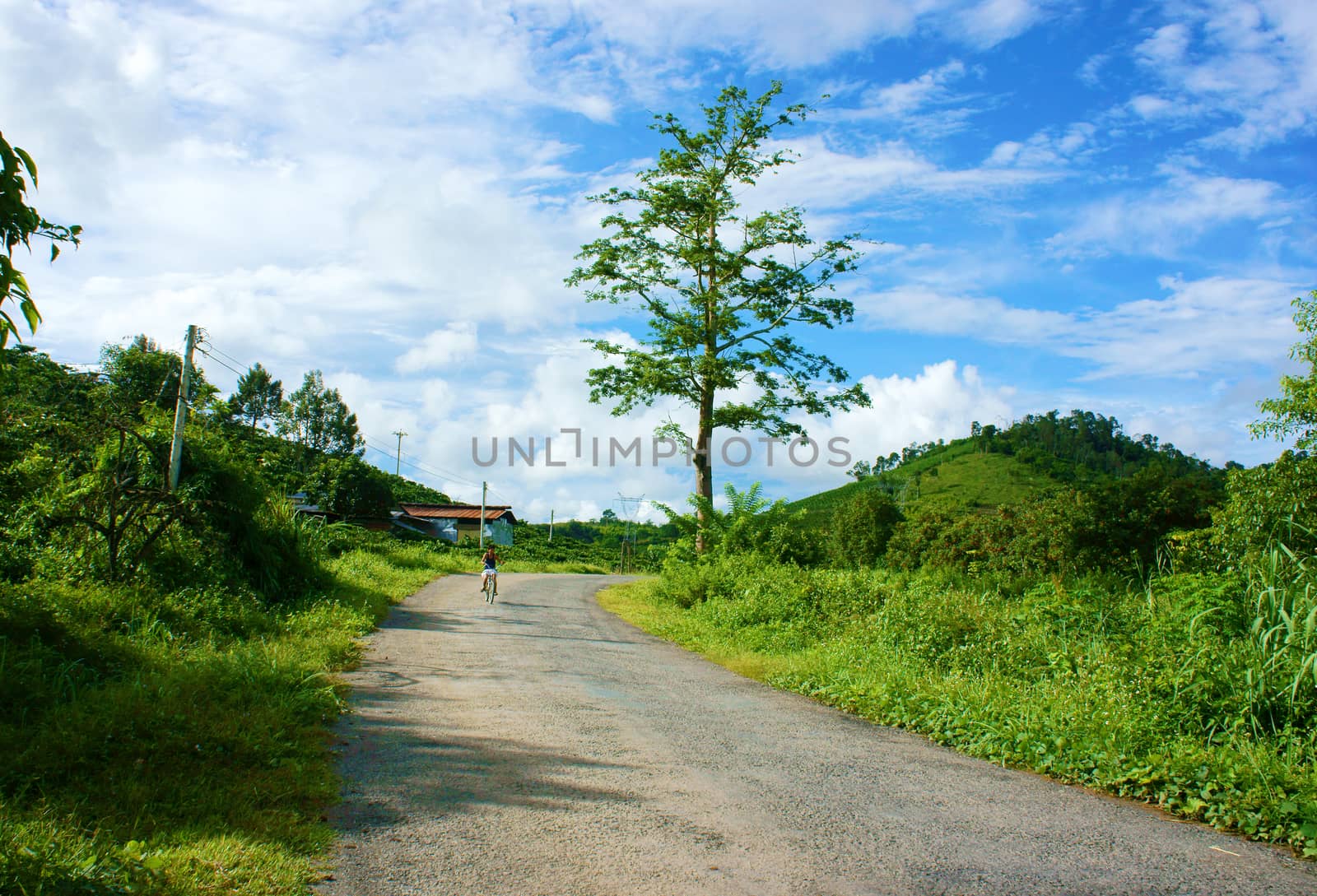 countryside road under blue sky by xuanhuongho