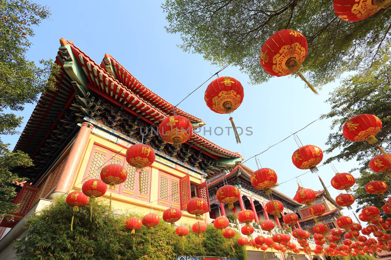 Chinese lanterns during new year festival by rufous