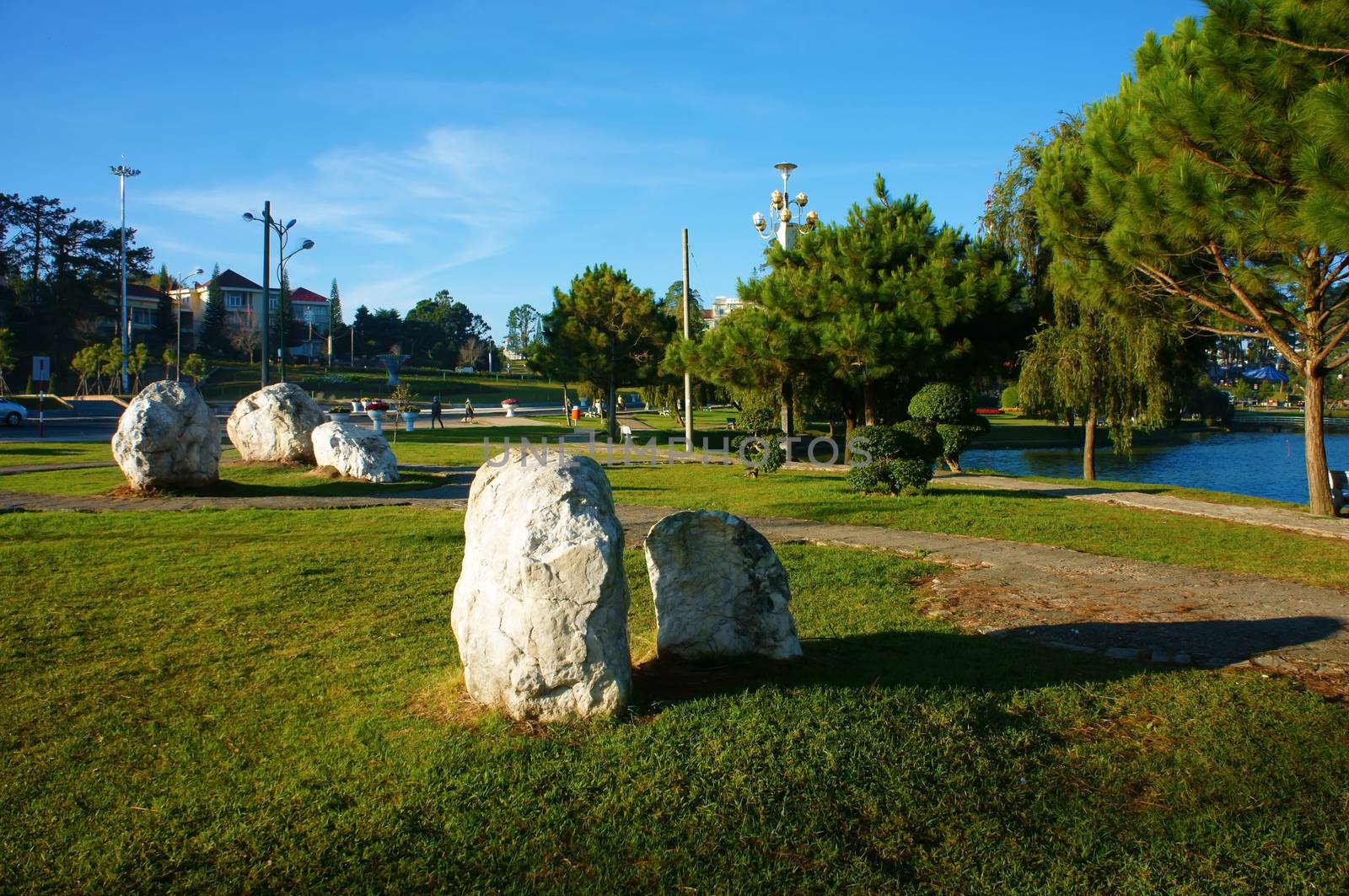 Romantic landscape with rocks reflect shade on grass meadow, row of pine trees along path way, fresh air,  sky in blue and sunny cover in vibrant in Dalat city