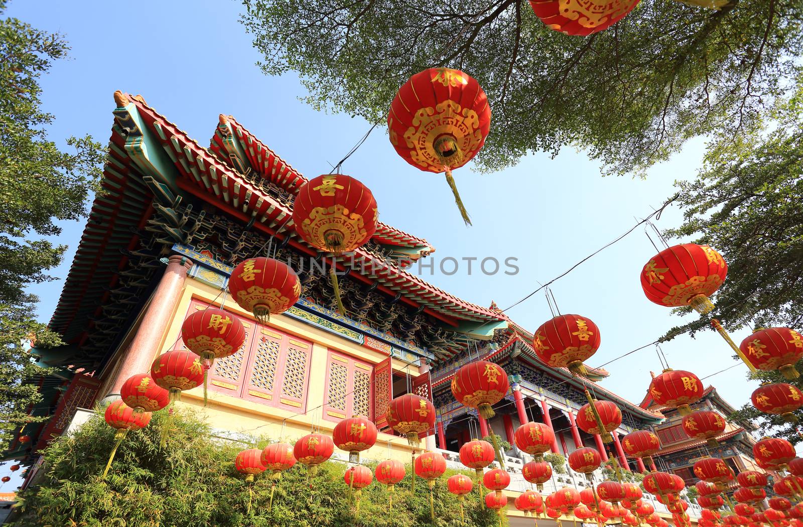 Chinese lanterns during new year festival