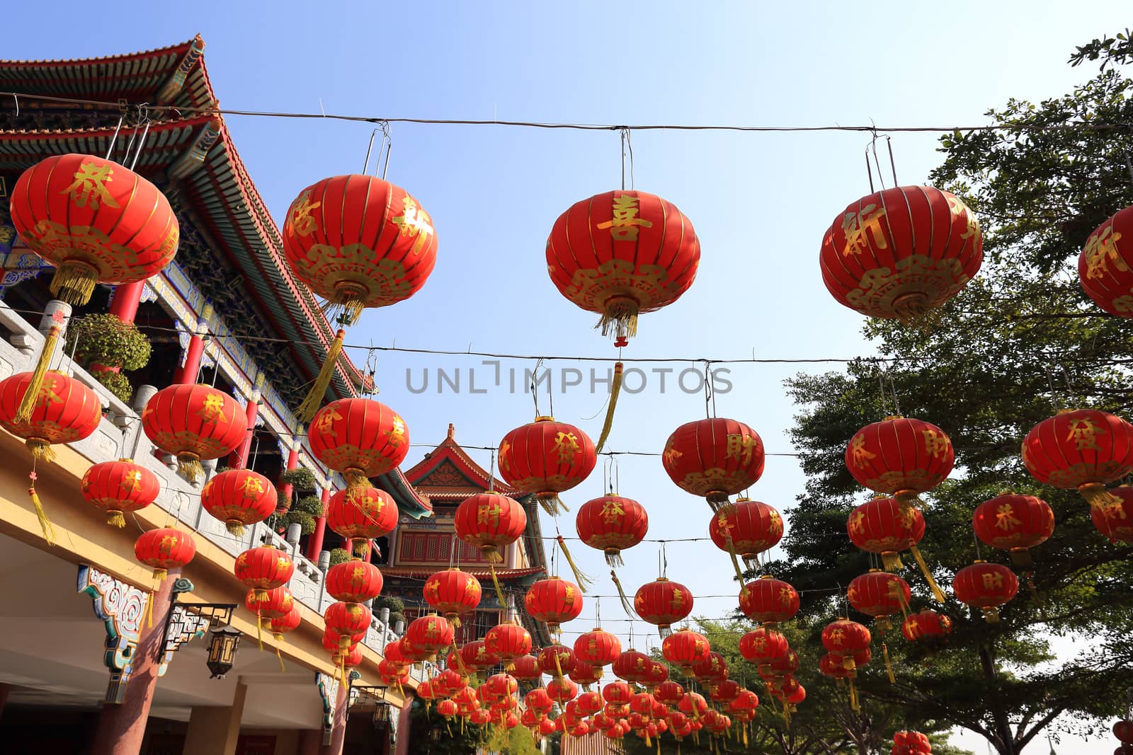 Chinese lanterns during new year festival by rufous