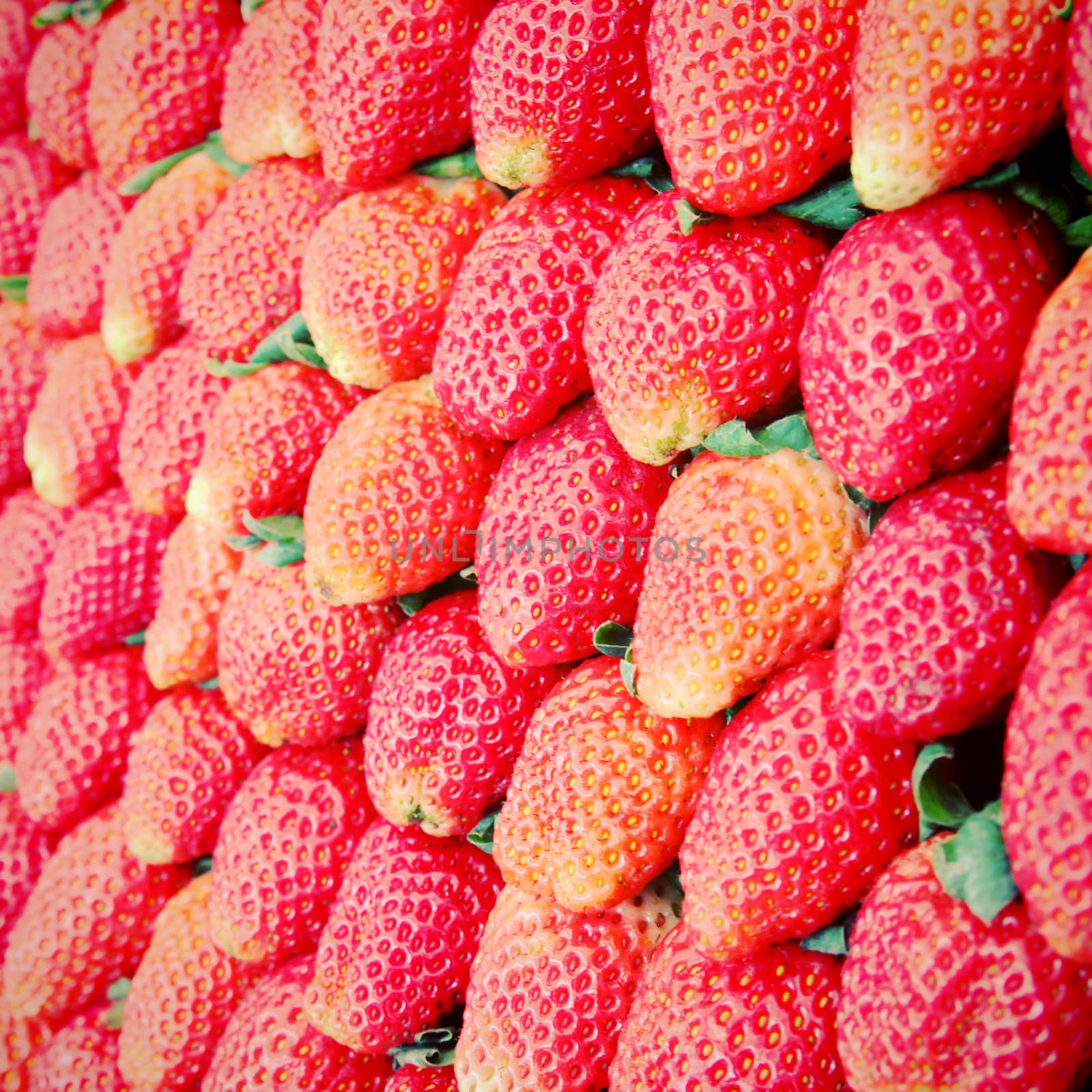 Row of fresh strawberry with retro filter effect