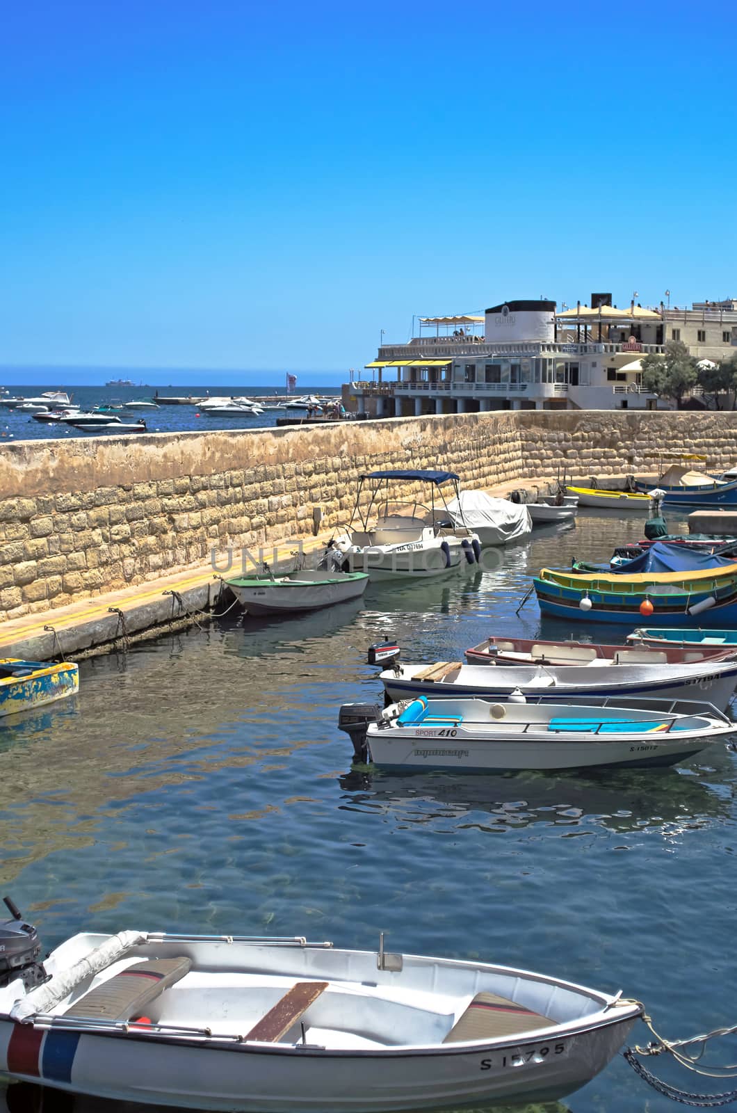 Maltese seaside view by dario