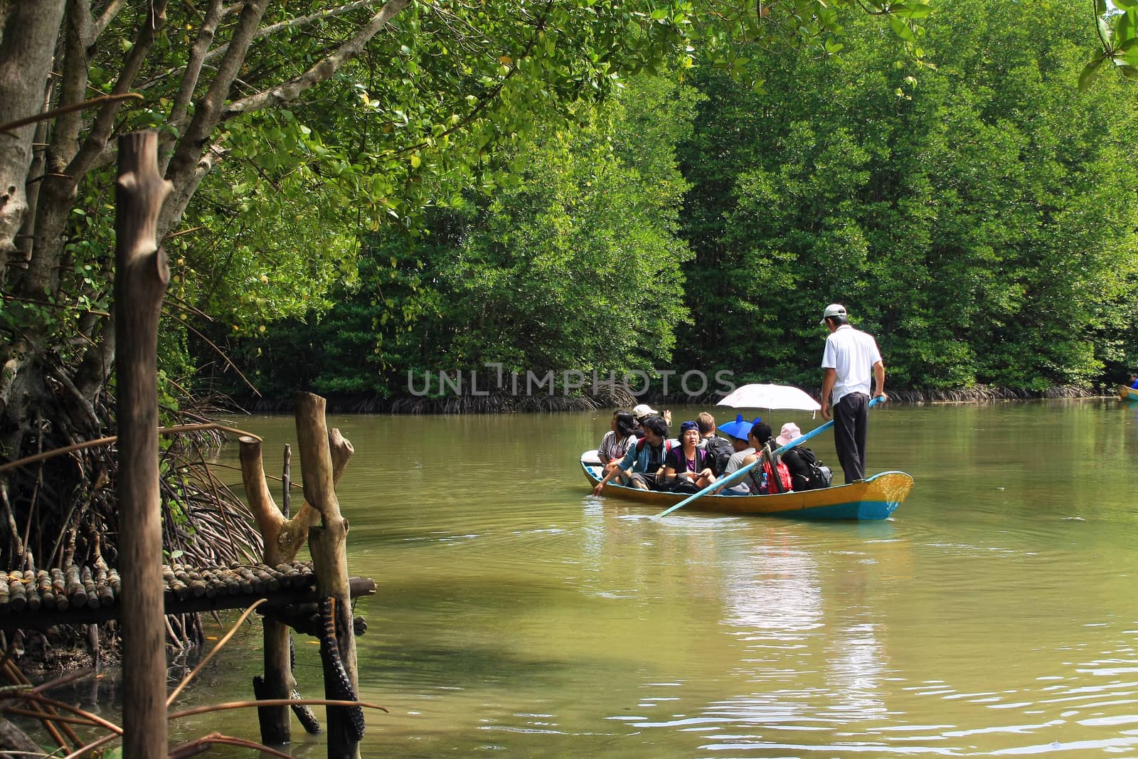 CAN GIO, HO CHI MINH- OCT 28: Traveler make ecotourism, visit natural landscape on row boat, the boat reflect on water among green jungle in Can Gio, Ho Chi Minh, Oct 28, 2013