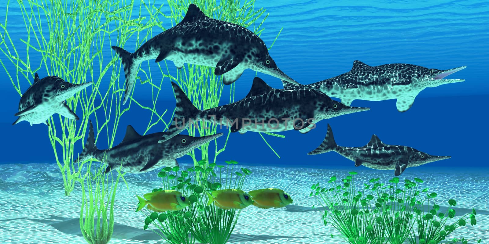 Stenopterygius is an extinct icthyosaur from the Jurassic Age of Europe.
