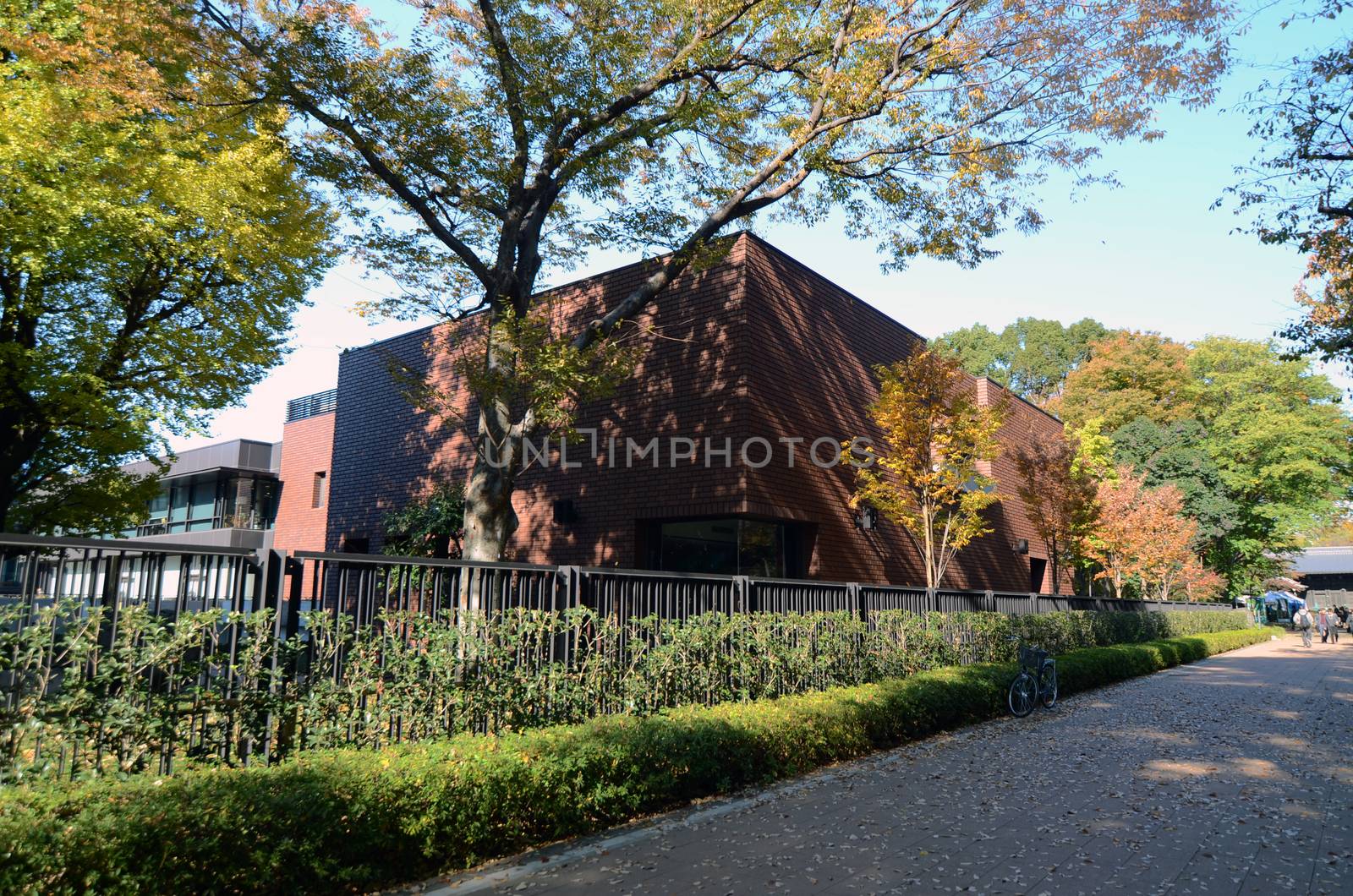 TOKYO, JAPAN - NOVEMBER 22: Tokyo Metropolitan Art Museum in Ueno park by siraanamwong