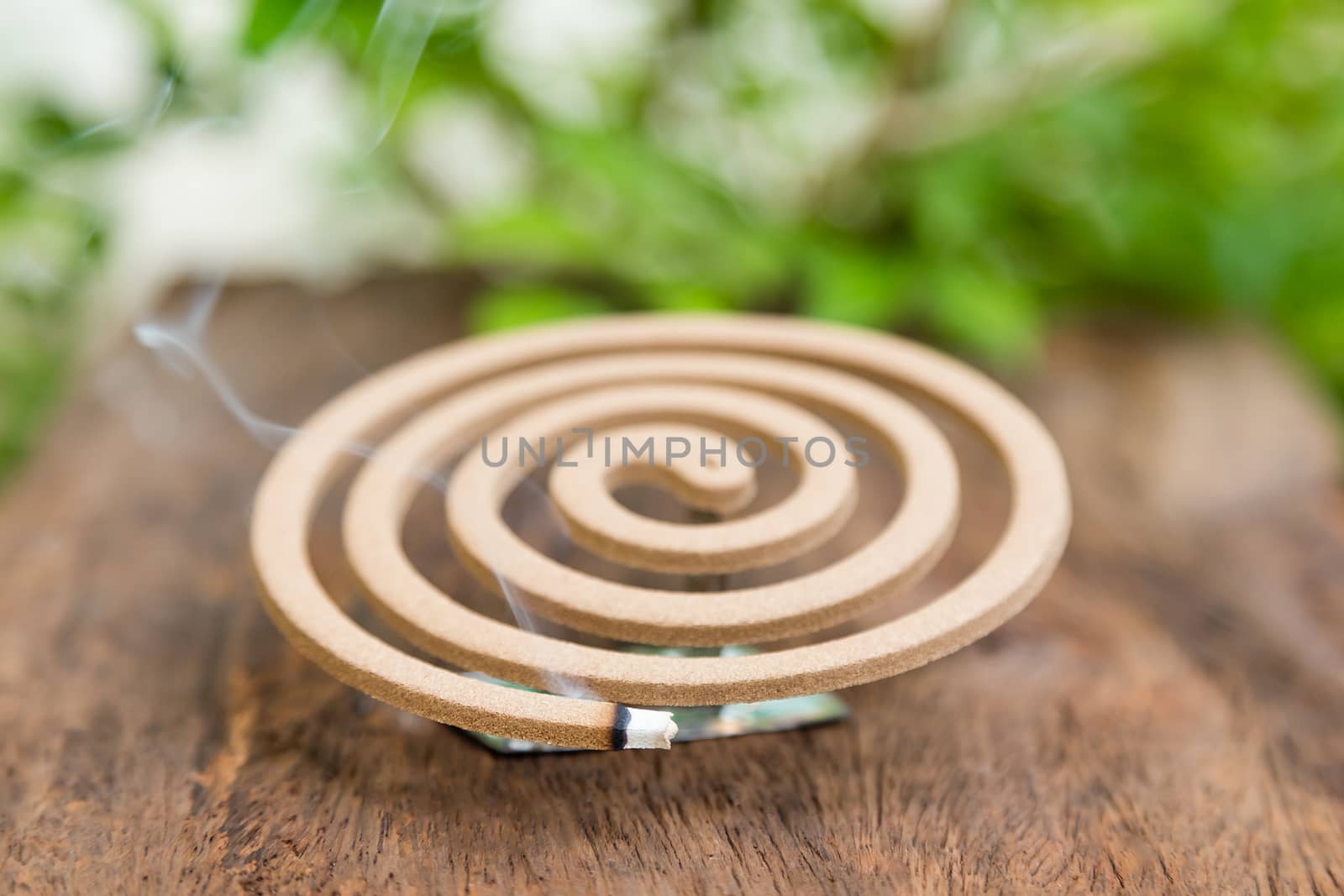 Burning mosquito coil for Insect repellent and mosquito