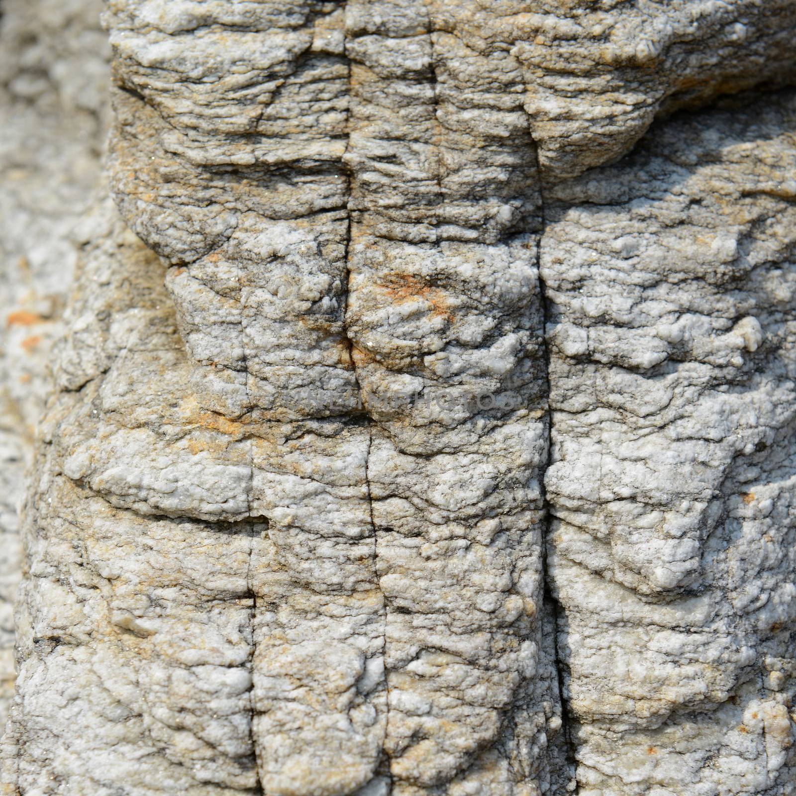 pattern and texture in Stone  by opasstudio