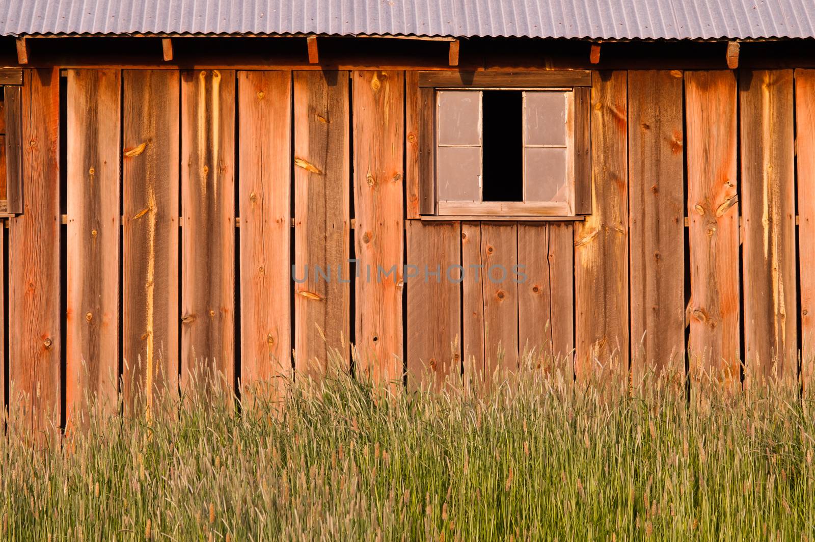 Barn wood wall green farm field