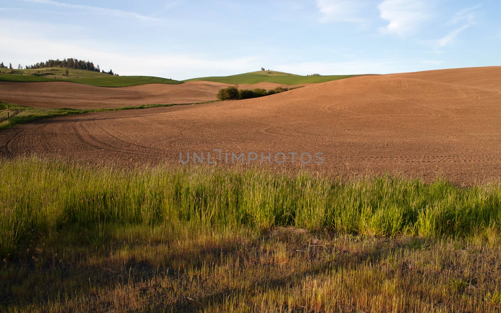 Freshly plowed field waits for spring planting