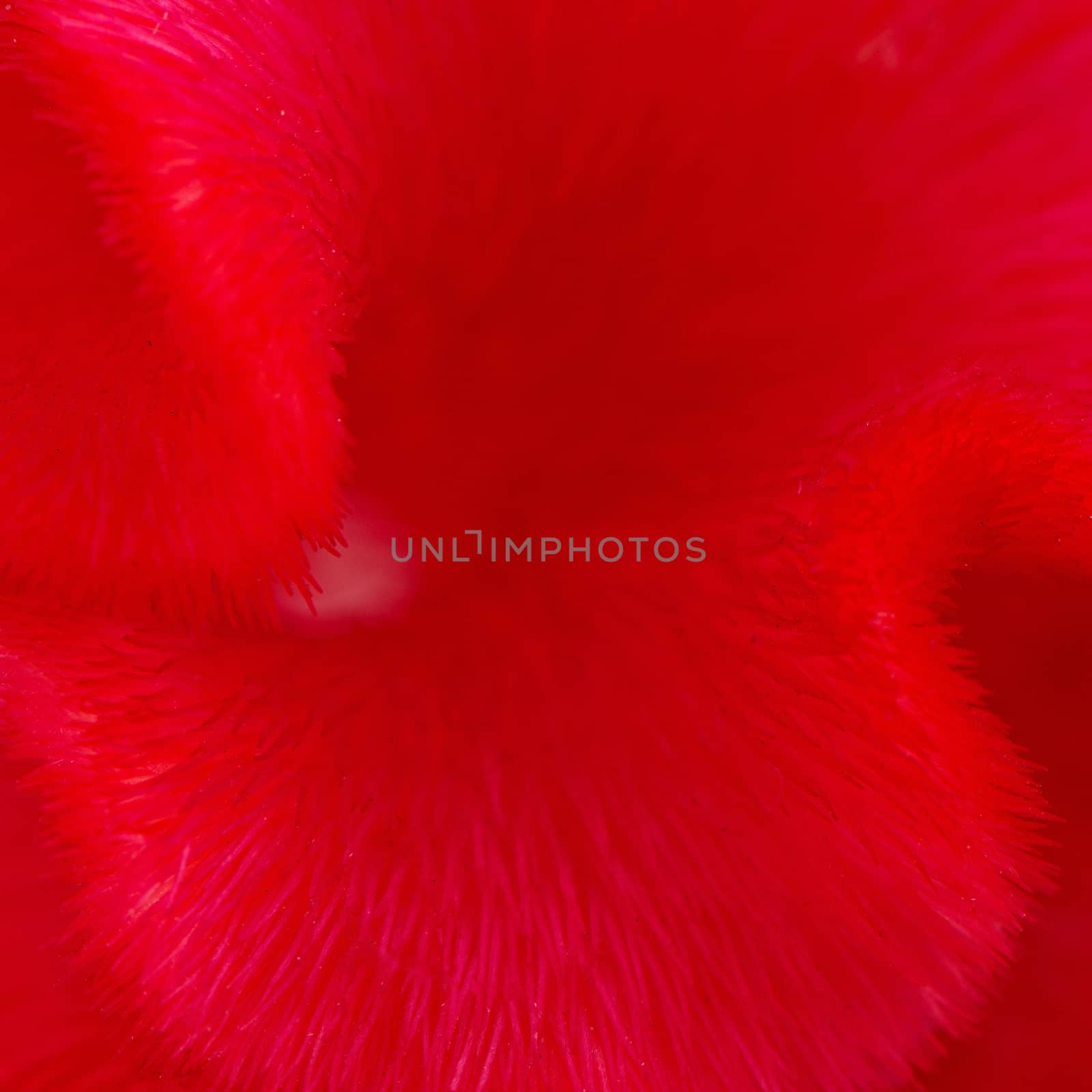 Red background abstract of Cockscomb or Chinese Wool Flower (Celosia argentea)