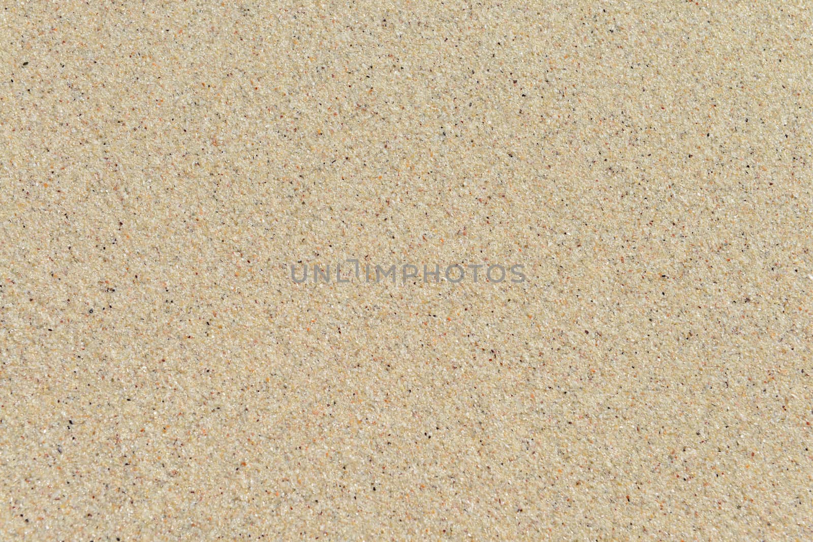 Sand texture. Sandy beach for background. Top view 