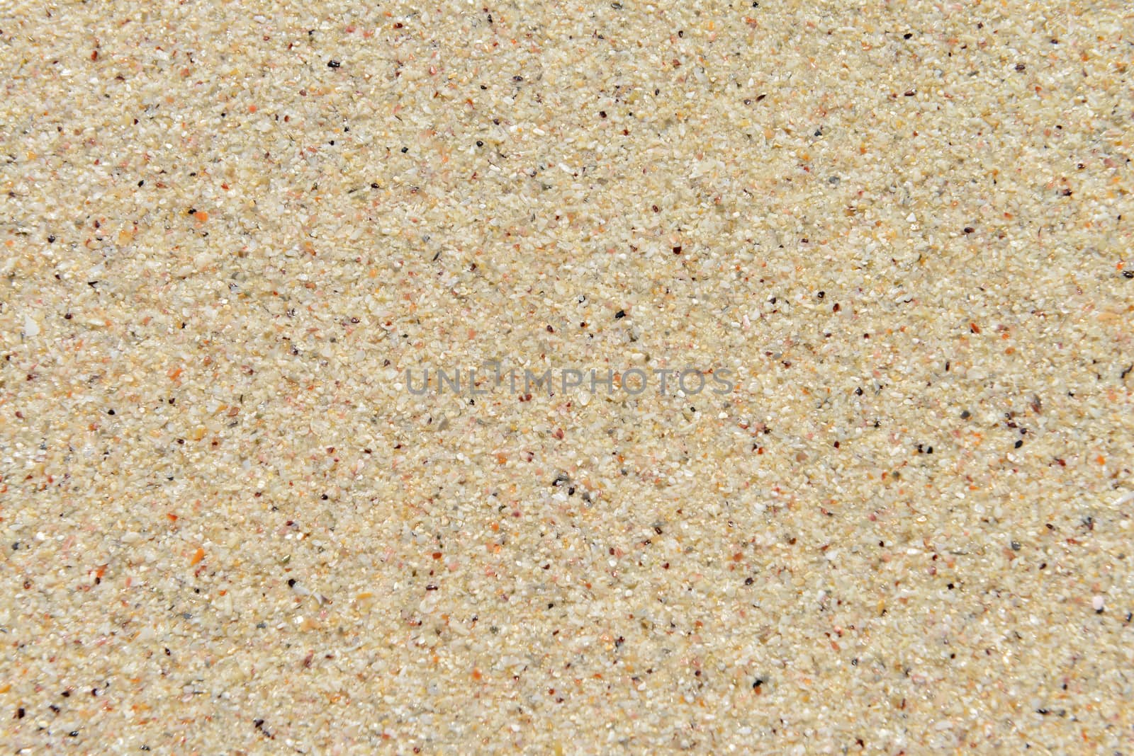 Sand texture. Sandy beach for background. Top view 