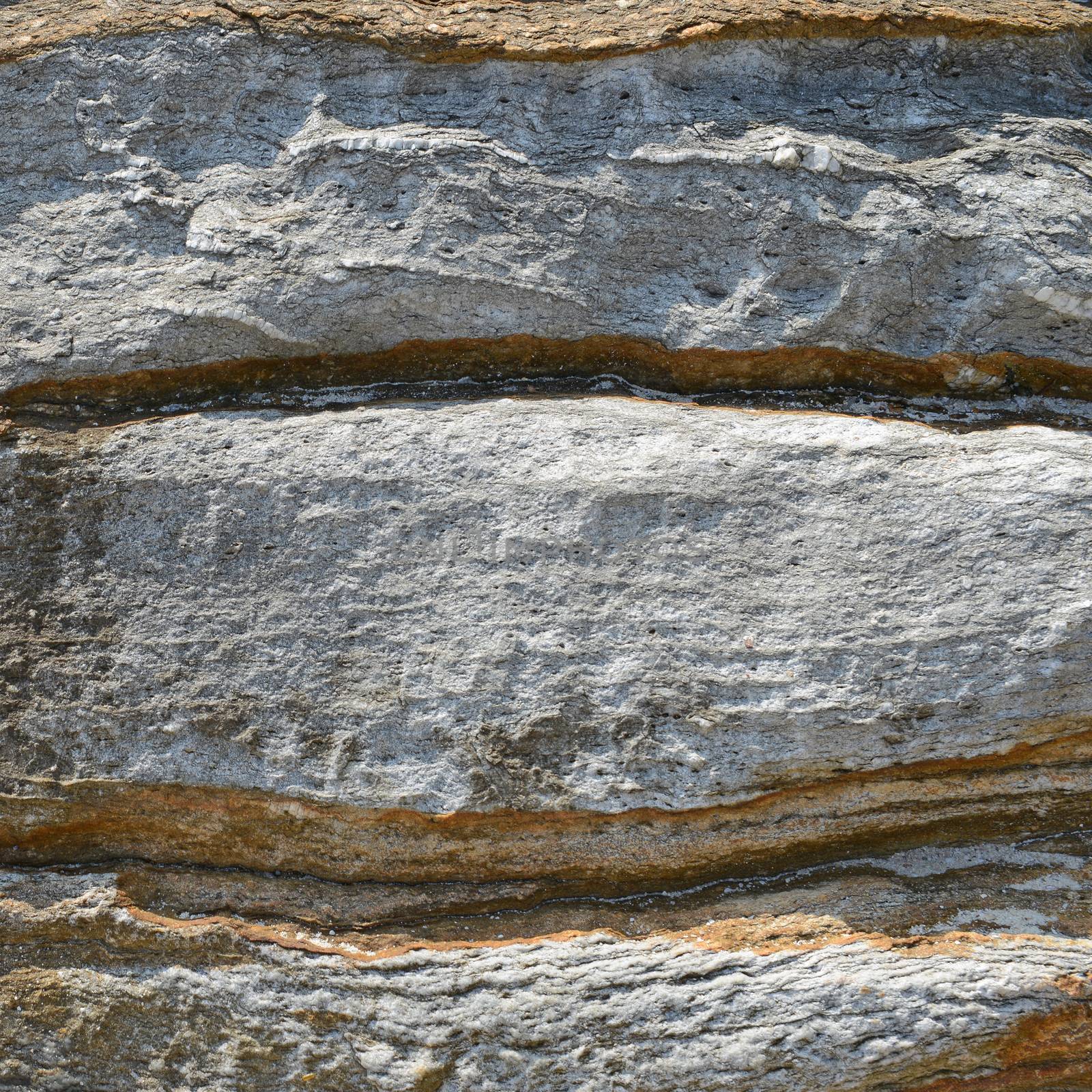 beautiful pattern and texture in Stone at the coast 
