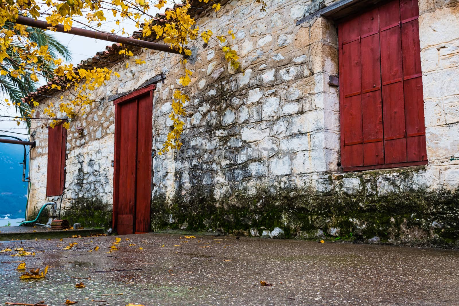 Traditional vintage house closeup by ankarb