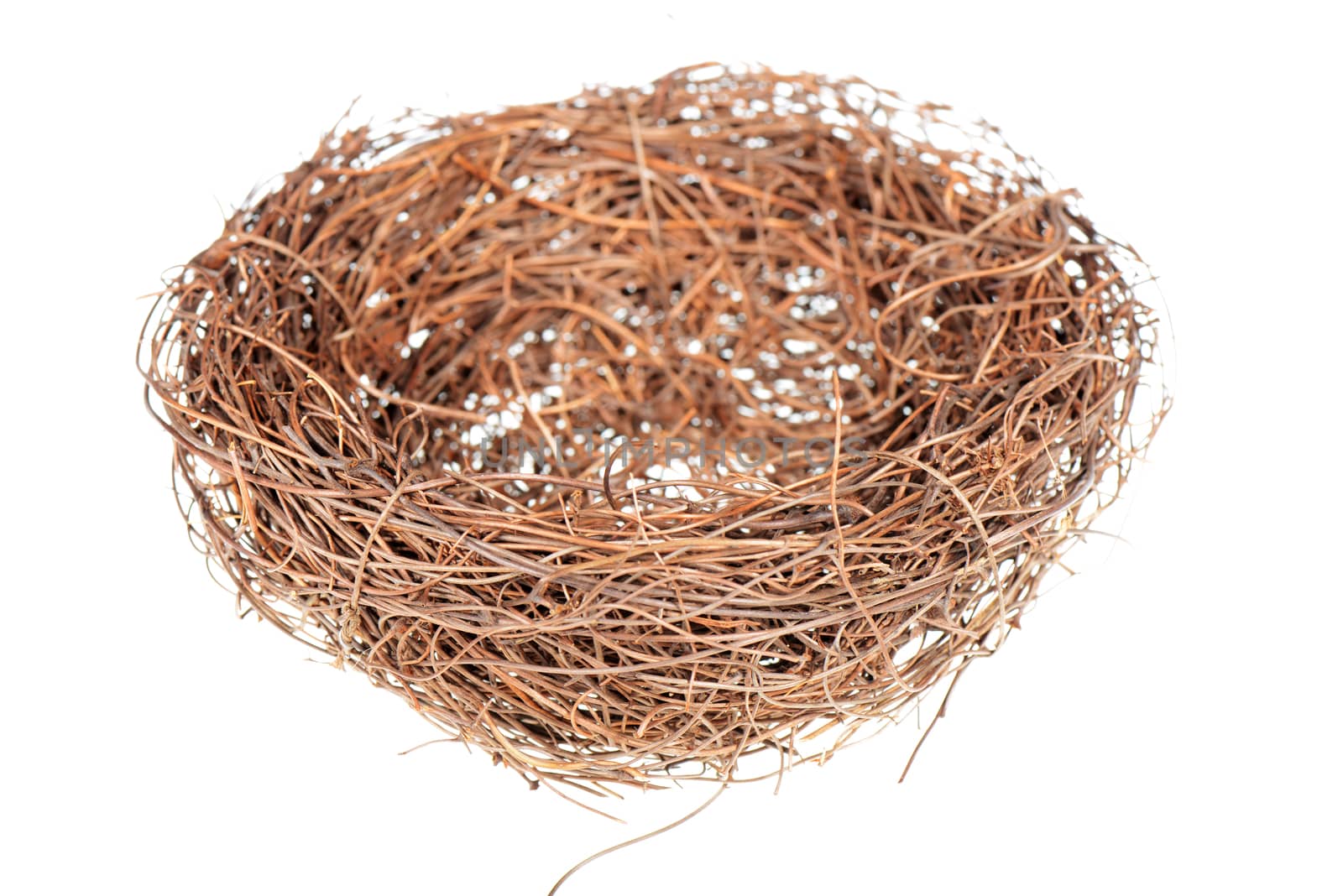 Bird's nest isolated on a white background