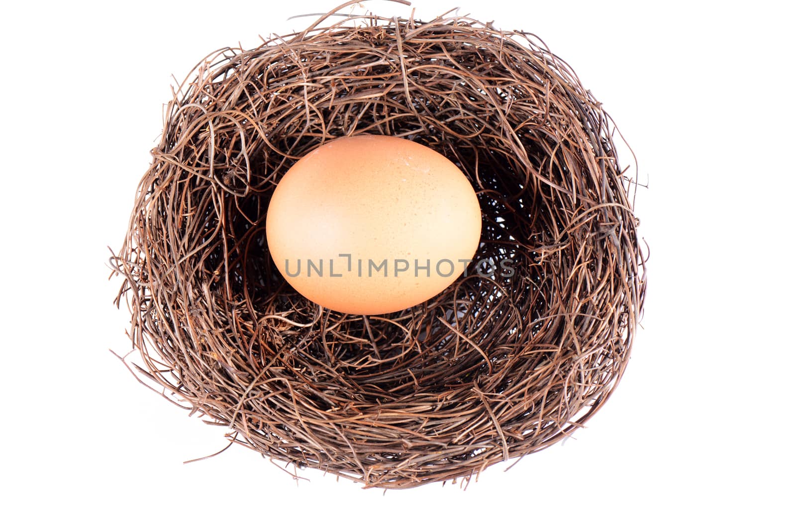 Bird's nest with an egg isolated on a white background