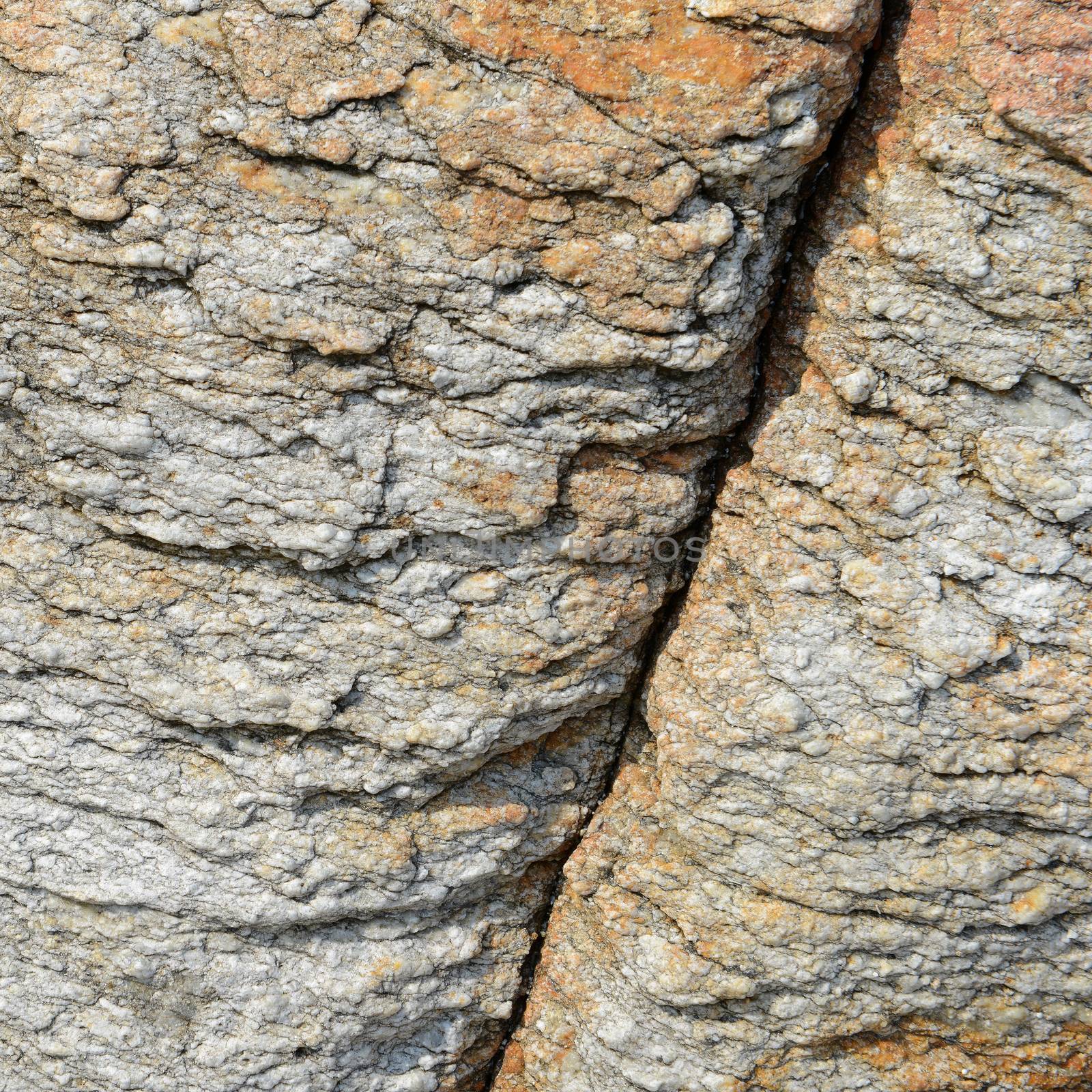 beautiful pattern and texture in Stone at the coast 
