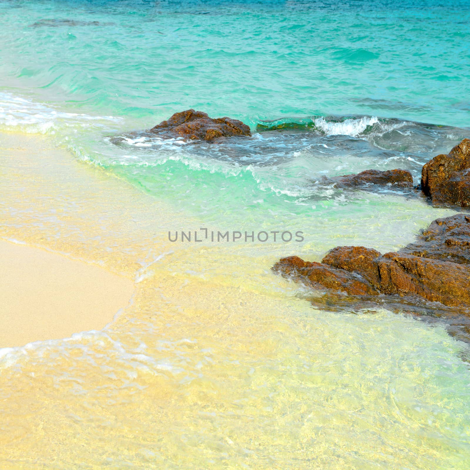 Sand beach with rocks. by opasstudio