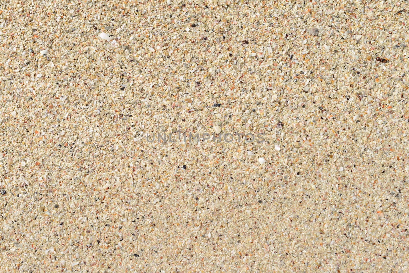 Sand texture. Sandy beach for background. Top view 