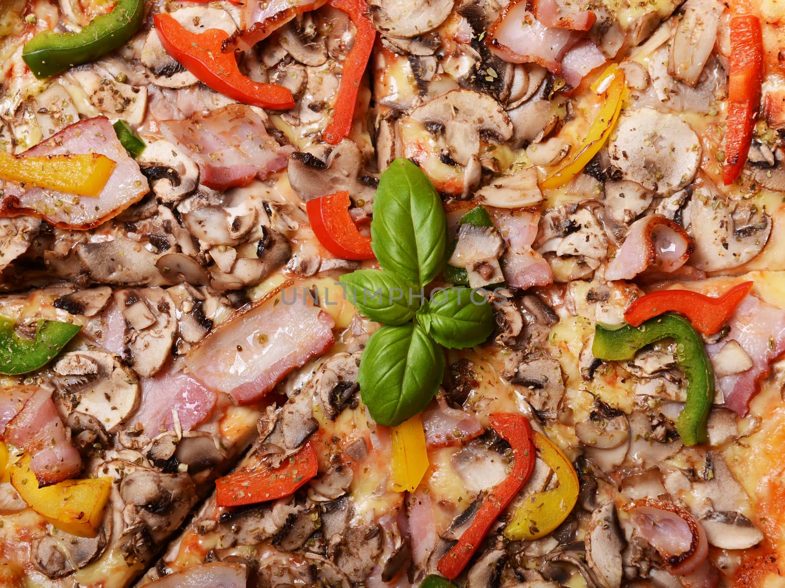 Tasty pizza with mushrooms and colorful pepper