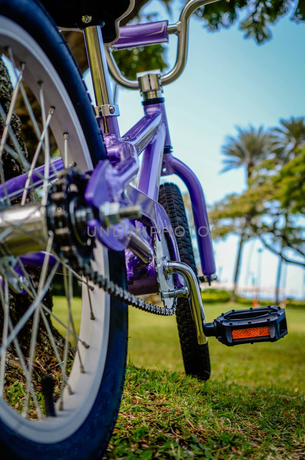 Shiny New Purple Children's Bicycle