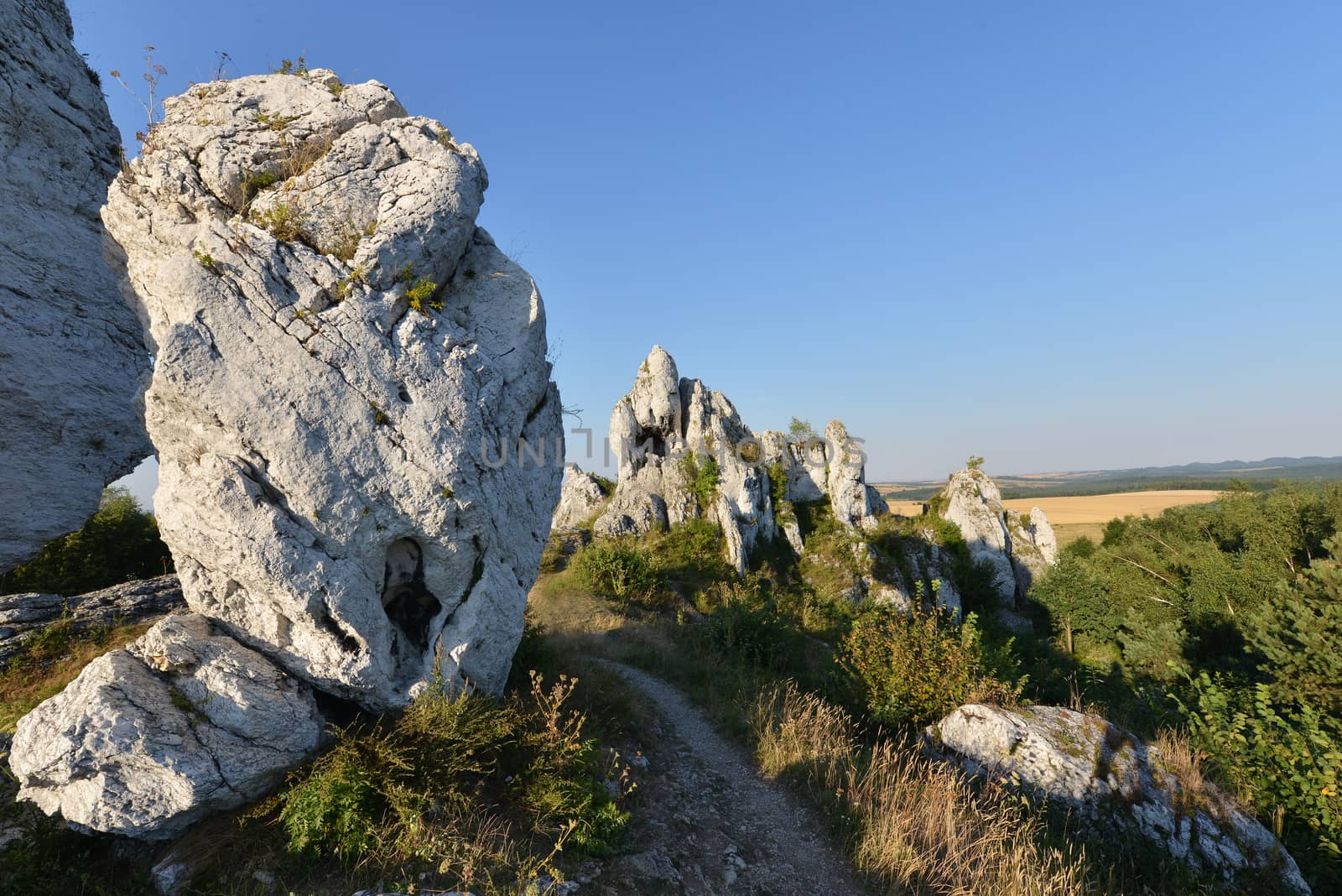 Limestone rocks in " Jura Krakopwsko - Czestochowska " in Poland