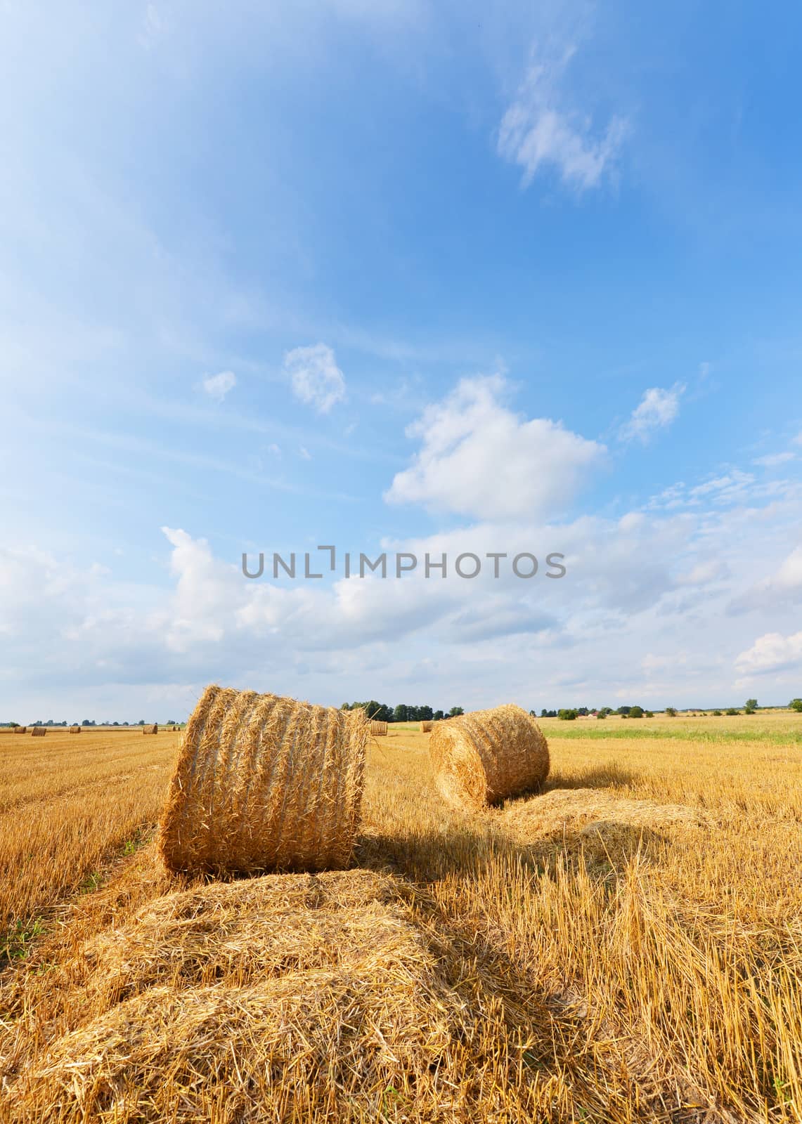 Straw bales on farmland with blue cloudy sky