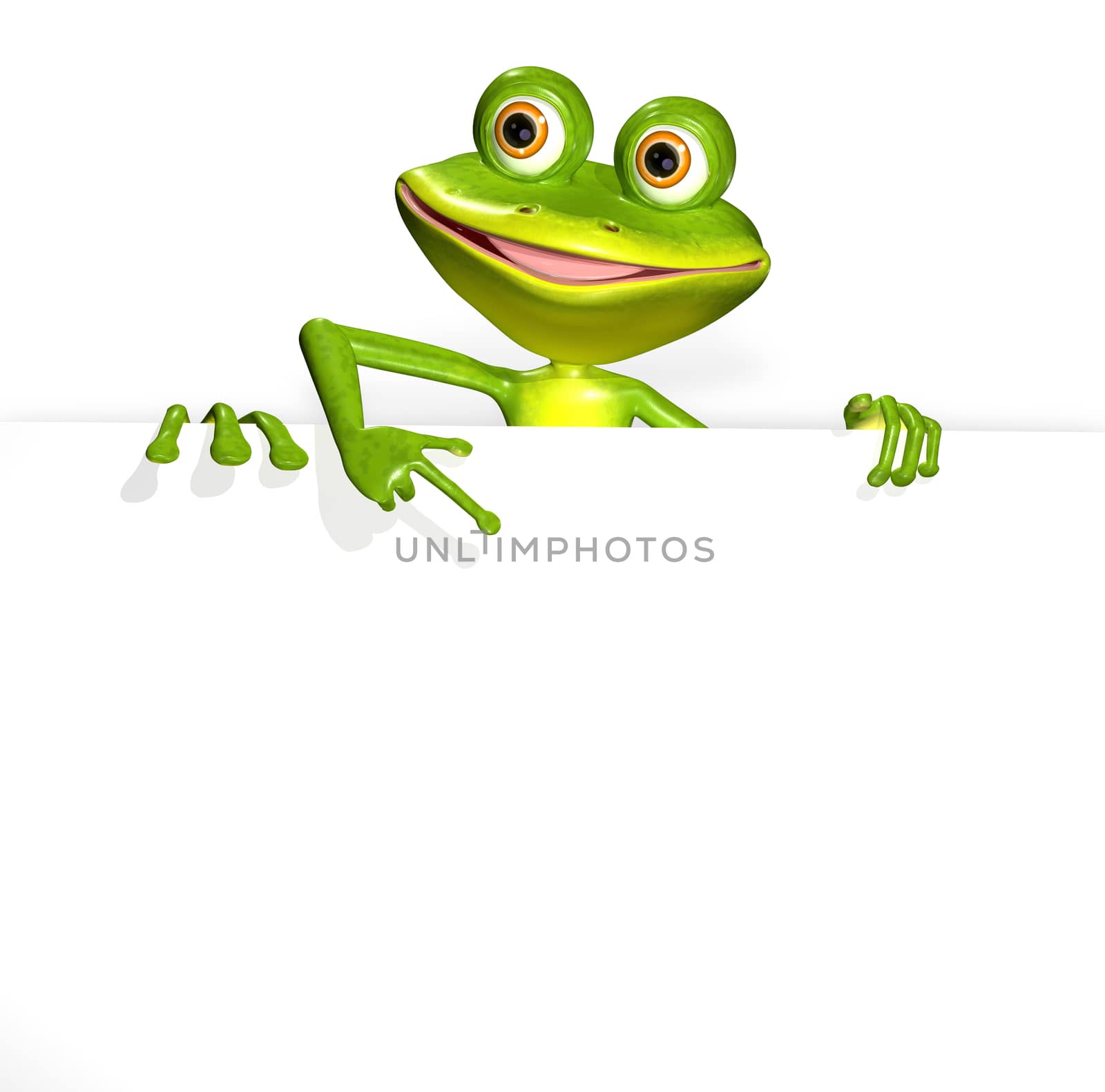 illustration merry green frog and white background