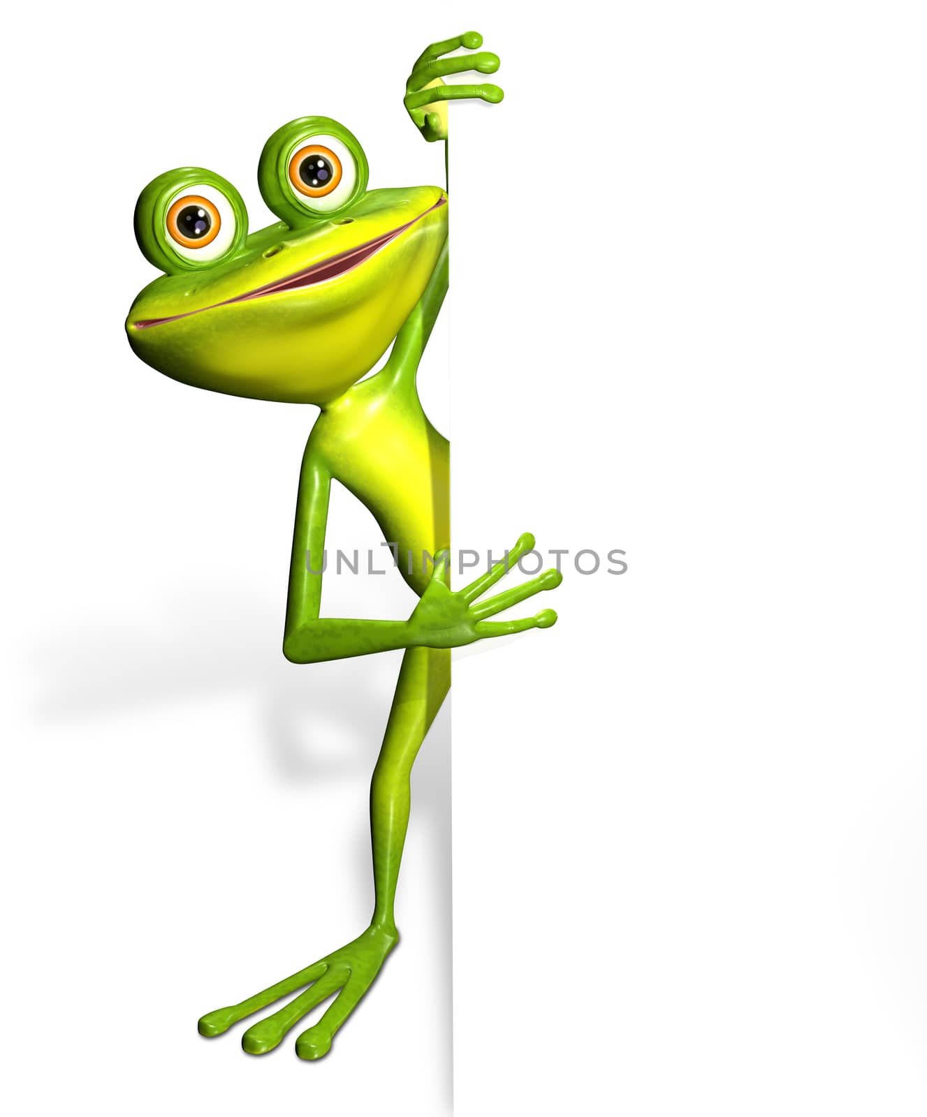 illustration merry green frog and white background