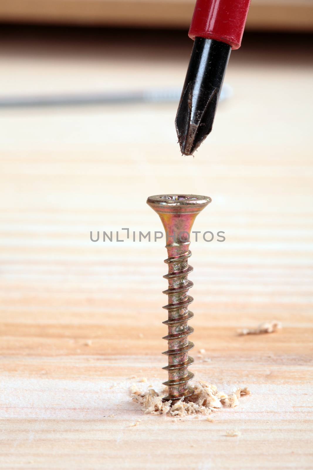 screw on a piece of wood